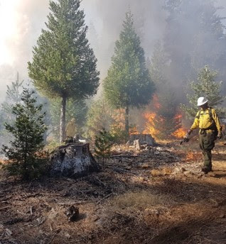 Prescribed Fire Workshops